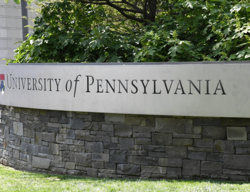 Rice grain-sized robot for 1 cent: Mini machine swims, thinks, and measures independently